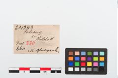 Etiketten zu Glasringperle (NHMW-PRAE-024343)